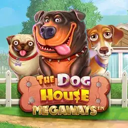 The Dog House Megaways game at Nine Casino for Australia players