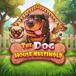 The Dog House Multihold game at Nine Casino for Australia players